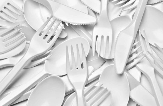 כלים חד פעמיים2